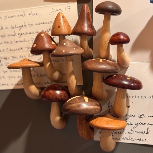 Wooden Mushroom Magnets Set - （total 12）